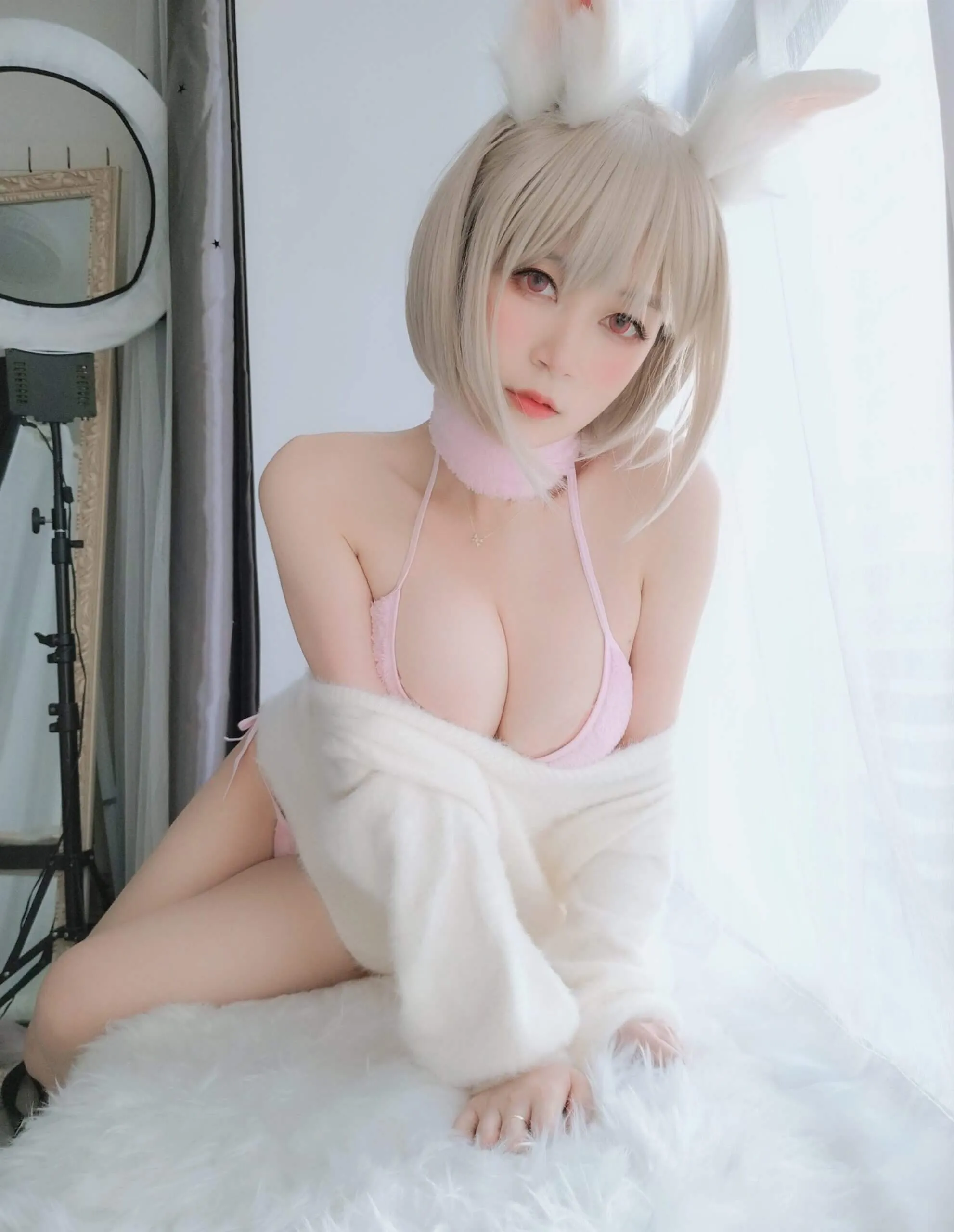 白银81 – 小白兔插图1