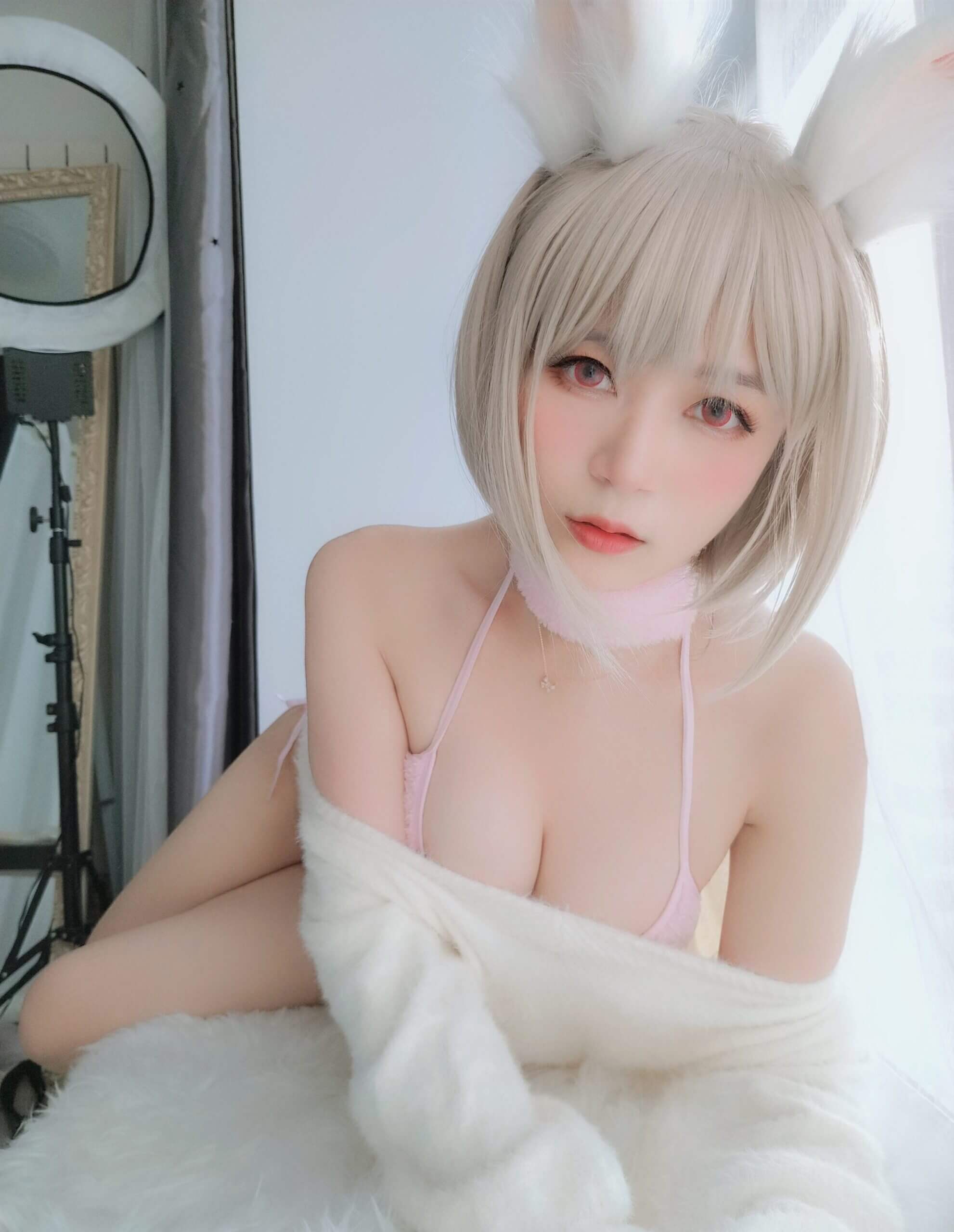 白银81 – 小白兔插图