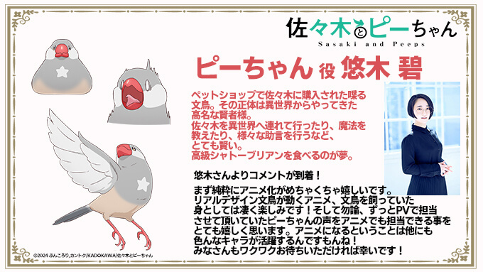 TV动画《佐佐木与文鸟小哔》公开视觉图、出演者和制作阵容,将于2024年开播。插图3