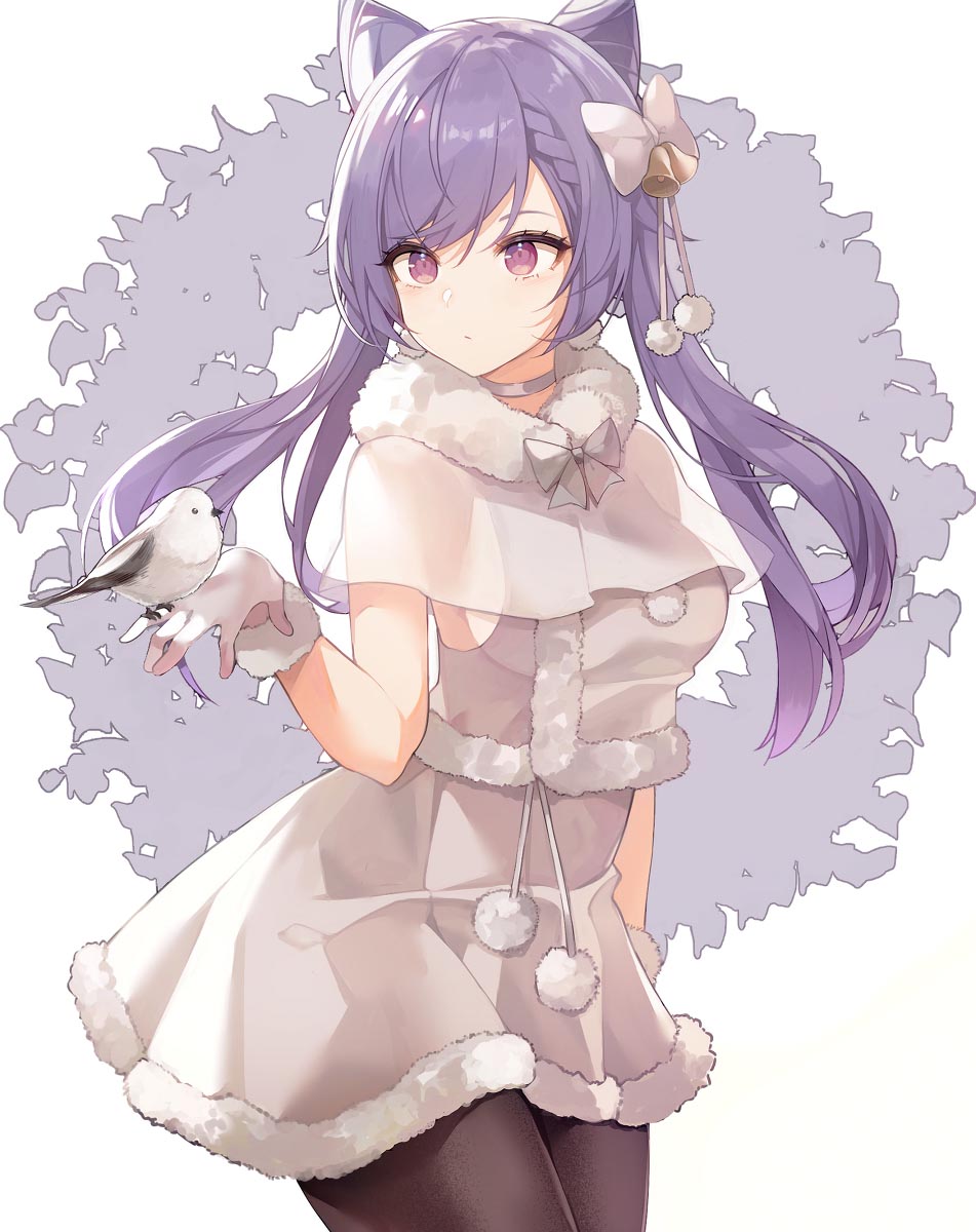 每日好图#午安原神【20260124】 插图7